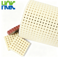 Feuille de mousse de silicone perforée haute élasticité, épaisseur et couleur personnalisables