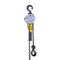 Chine usine prix HSH-X palan à levier 0.25T 0.5T 1.5M 1M bloc de levier chaîne G80