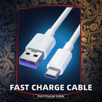 Allemagne Câble de charge rapide 5A Ligne de données en cuivre pur avec gaine en PVC pour l'Autriche et la Suisse-iCam Oscam Compliant
