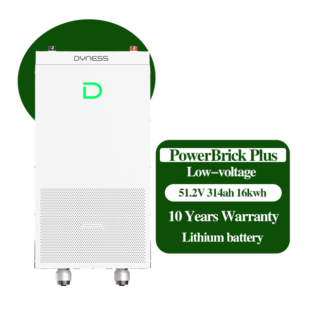 Dyness PowerBrick Plus Low Voltage 300ah 314ah Lithium Ion Battery Pack 10kwh 15kw 16kw Standing Storage Battery