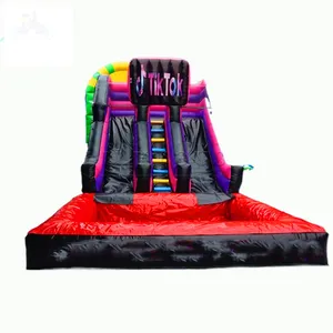 Hot Design Commercial Tiktok Playground Jumping Bouncy Castle Bounce House Double Lane Slide With Pool For Sale