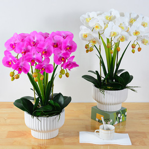 Orchidée Phalaenopsis Artificielle en Pot, Décoration Florale, PVC Souple Texturé 3D, Écologique, Décoration Intérieure, Décoration de Table - Product Image 2