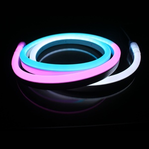 Tira de LED Digital de Neón Flexible de 24V, Luz Dinámica de Píxeles Móviles, Cuerpo de PVC, IP68, Aplicación en Paisajes, Cambio de Color Mágico, 14.4W, CE - Product Image 3