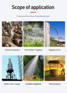 Pompe à jet intelligente en acier inoxydable à une seule étape, haut débit, haute pression, alimentée par l'énergie solaire - Product Image 6