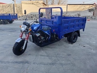 Tricycle Motorisé à Moteur Refroidi par Eau 250cc, Charge Lourde, avec Caisse 5 Roues