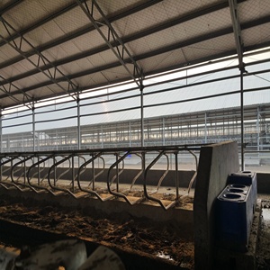 Cobertizo de <span class=keywords><strong>vaca</strong></span> de alta calidad, buen <span class=keywords><strong>precio</strong></span>, estructura de acero ligero, nuevos materiales de construcción de Metal, corte de soldadura, procesamiento de doblado incluido - Product Image 4