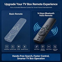 Control Remoto por Voz de 14 Teclas, Inalámbrico, para Android TV Box, Fabricación OEM ODM
