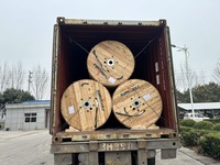 Cable Subterráneo de Cobre Termoplástico de 2kV Tipo TTU 500MCM