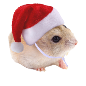 Nouvelle Robe Créative Totoro Hiver Noël Motif Floral Dessin Animé pour Petits Animaux 100% Coton Écologique Tendance - Product Image 1