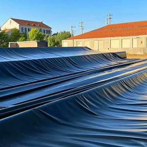 0.7mm 0.8mm 1mm 1.5mm <span class=keywords><strong>HDPE</strong></span> kolam geomembranes Cá Ao Lót bơi AO phim bền fishpond lót - Product Image 3