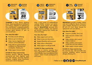 Integratore Alimentare Personalizzato per la Salute degli Animali Domestici Probiotico Prebiotico Postbiotico per Uccelli Lucertole Cincillà Pappagalli Supporto Immunitario - Product Image 6