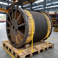 Câble en acier au carbone durable avec âme en acier pour tambours de treuil industriels et élingues de levage lourds