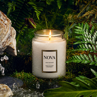 Bougie parfumée artisanale de luxe NOVA, dans un bocal en verre, cire de soja 100% biologique, décoration d'intérieur, personnalisable, Thanksgiving, fête des pères