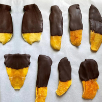 Nouvelle machine d'enrobage au chocolat GUSU avec tunnel de refroidissement pour usine de snacks, garantie 1 an, tension universelle
