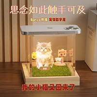 Kotak Proyeksi Holografik Kayu Tiup Digital untuk Hewan Peliharaan, Ornamen Kenangan, Kreatif, DIY, Custom