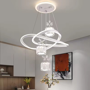 Moderne Simple Restaurant Lustre Net Rouge Salle À Manger Avancée Nouveau Design Transfrontalier Spécial Taille Moyenne Métal Pendentif Lumière - Product Image 4