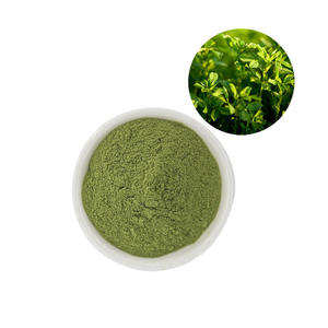 공장 공급 유기농 알팔파 추출물 분말 천연 허브 루세른 알팔파 잔디 분말 - Product Image 3