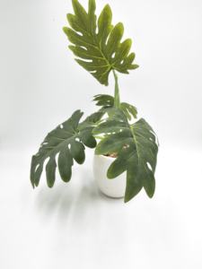 Pot en céramique blanche simple pour plantes artificielles, ornements de jardin, design personnalisé de haute qualité - Product Image 5