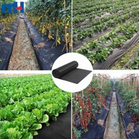 Rouleau de tissu paysager en polypropylène non tissé, tapis anti-mauvaises herbes en PP avec service de découpe