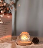 Großhandel Moderne Runde Holz-LED-Lichtbasis Elektrische Stromquelle Lampenhalter für Kristalldisplay Holzständer