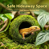 Caverne de simulation en mousse pour reptiles, abri humidifiant, habitat pour serpents, lézards, geckos, décoration de terrarium et de vivarium