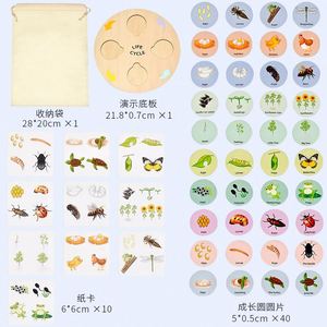 Homeschool Supplies Activities Toy Children Ladybug Butterfly Bee Insect Life Cycle <b>Puzzle</b> Sets - Product Image 6