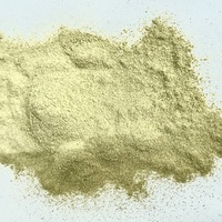 Ciyuan Pasokan Pabrik Kualitas Tinggi Ekstrak Cnidium Monnieri/Bubuk Ekstrak Cnidium Ostole