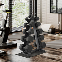 Support Commercial Pliable en Acier pour Haltères, Étagère Verticale Triangulaire pour Quatre Paires, Équipement de Rangement pour Entraînement et Fitness