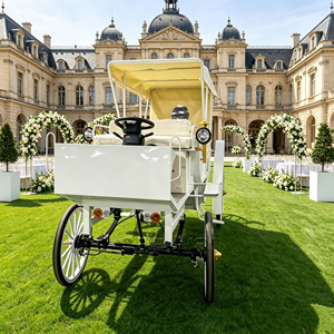 Élégante carrosse de parade électrique de style princesse pour location événementielle, mariages et événements touristiques - Product Image 1