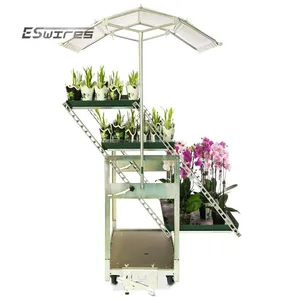 Open design multi-layer detachable plywood vertical storage steel welded flower shop display rack