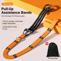 Bandas de Resistencia para Asistencia en Dominadas con Bolsa de Almacenamiento, Material ABS, Entrenamiento de Cuerpo Completo, Correa de Suspensión