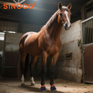 อุปกรณ์บำบัดด้วยแสงสีแดงแบบพกพาสำหรับการรักษาสัตว์ในวงการขี่ม้า ช่วยบรรเทาอาการอักเสบและปวดในเนื้อเยื่อชั้นลึก - Product Image 1