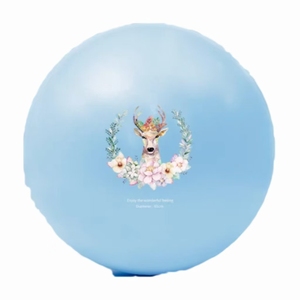 Estabilidad 65cm <span class=keywords><strong>Fitness</strong></span> Yoga Pilates Balance Ball con logotipo y tamaño personalizados para mujeres embarazadas - Product Image 5