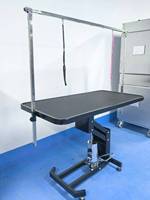Table de toilettage pour animaux de compagnie professionnelle hydraulique écologique pour chiens avec matériau en acier inoxydable Épilation et nettoyage