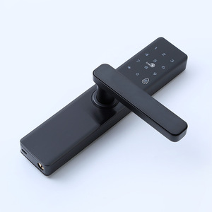Wenxun Smart <b>Lock</b> For Wooden Door With Fingerprint Password Card Swipe S096M - Product Image 1