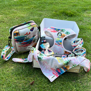 Correa de seguridad de diseño personalizado para perro, conjunto de arnés para perro, bolsa de regalo para Parque de mascotas - Product Image 2