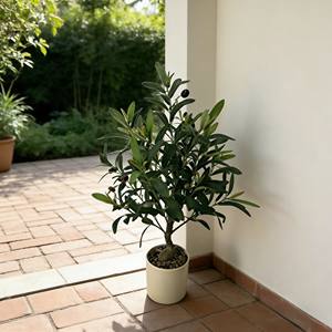 Olivo artificial, olivo artificial en maceta, olivo biónico, olivo artificial en maceta con aceite. - Product Image 5