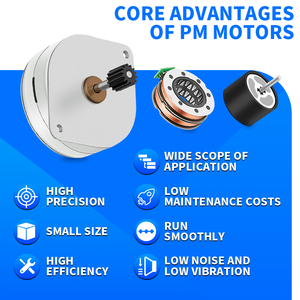 RB 42PMT22014 6V 2W Motor de CC sin escobillas de imán permanente con controlador de Motor Pms con Motor de 2 hp <span class=keywords><strong>12V</strong></span> CC para uso médico - Product Image 3