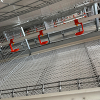 Équipement de ferme pour poulets de chair Volaille Hangar Système de cages d'élevage de poulets en fil de fer galvanisé Poulailler en acier automatique pour porcs
