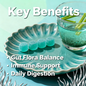 Suministro de fábrica, gomitas prebióticas y probióticas sin azúcar, Suplemento probiótico crudo al por mayor para adolescentes y mujeres - Product Image 3