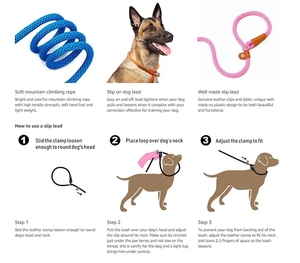 Correa de perro de plomo antideslizante de nailon duradero, cuerda de tracción a prueba de explosiones reflectante de alta resistencia, aleación de poliéster cómoda para perro P - Product Image 5