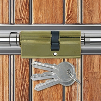 Cylindre de serrure de porte de bureau haute sécurité 30mm et 40mm fer en alliage de zinc placage en laiton produit de qualité supérieure