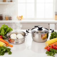 Mini-cuiseur vapeur à deux niveaux avec couvercle en verre, vente en gros, casseroles vapeur de cuisson en acier inoxydable de haute qualité
