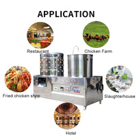Déplumeuse de volaille à grande vitesse, best-seller, équipement d'abattage, déplumeuse de caille, machine à plumer les poulets