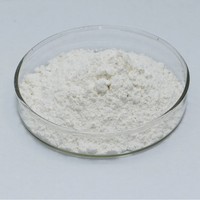 Enzyme pectinase pour la transformation alimentaire, la fabrication de jus d'agrumes, de vin et de boissons
