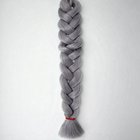 D.S Hair 165g Extensions de tresses synthétiques Jumbo pour salons de beauté