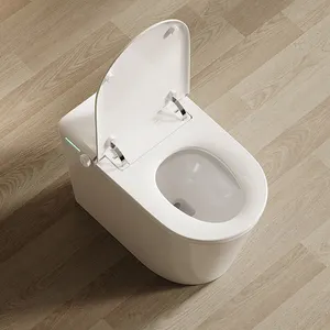 Inodoro blanco de una pieza Comode para baños Wc de lujo Taburete de noche público de cerámica Lavabo Juego de inodoro completo