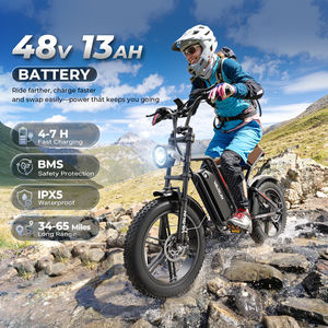 Vélo électrique tout-terrain 20 pouces à pneus larges, autonomie 65 km, moteur 750 W, vitesse 40 km/h, suspension intégrale, pour adultes, en stock, livraison directe, idéal pour les excursions hors piste, version UE. - Product Image 4