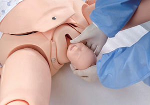 Simulateur d'entraînement en obstétrique et sage-femme : Forceps, extraction par ventouse, pratique de l'épisiotomie, mannequin pour l'éducation médicale et les soins de naissance - Product Image 5