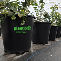 Pot Plastik Hitam Pengontrol Akar dengan Lubang Drainase, Bernapas, Ramah Lingkungan, Tahan Lama, Kapasitas 25L, Alas Piramida, Kaki Tinggi, Stabil